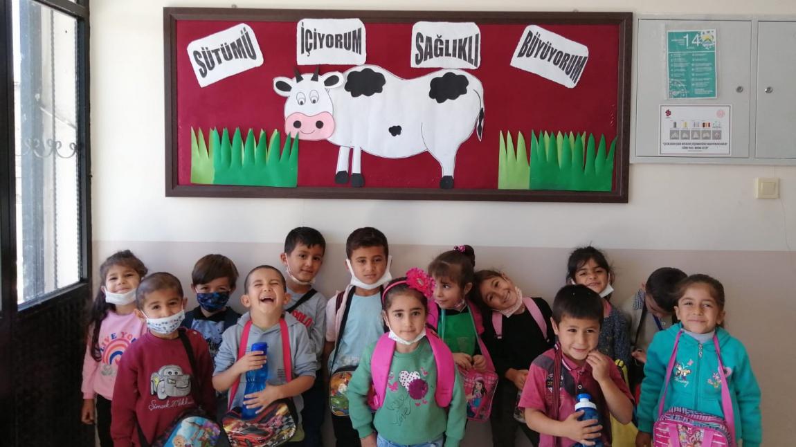 Dünya Okul Sütü Günü (28 Eylül) 